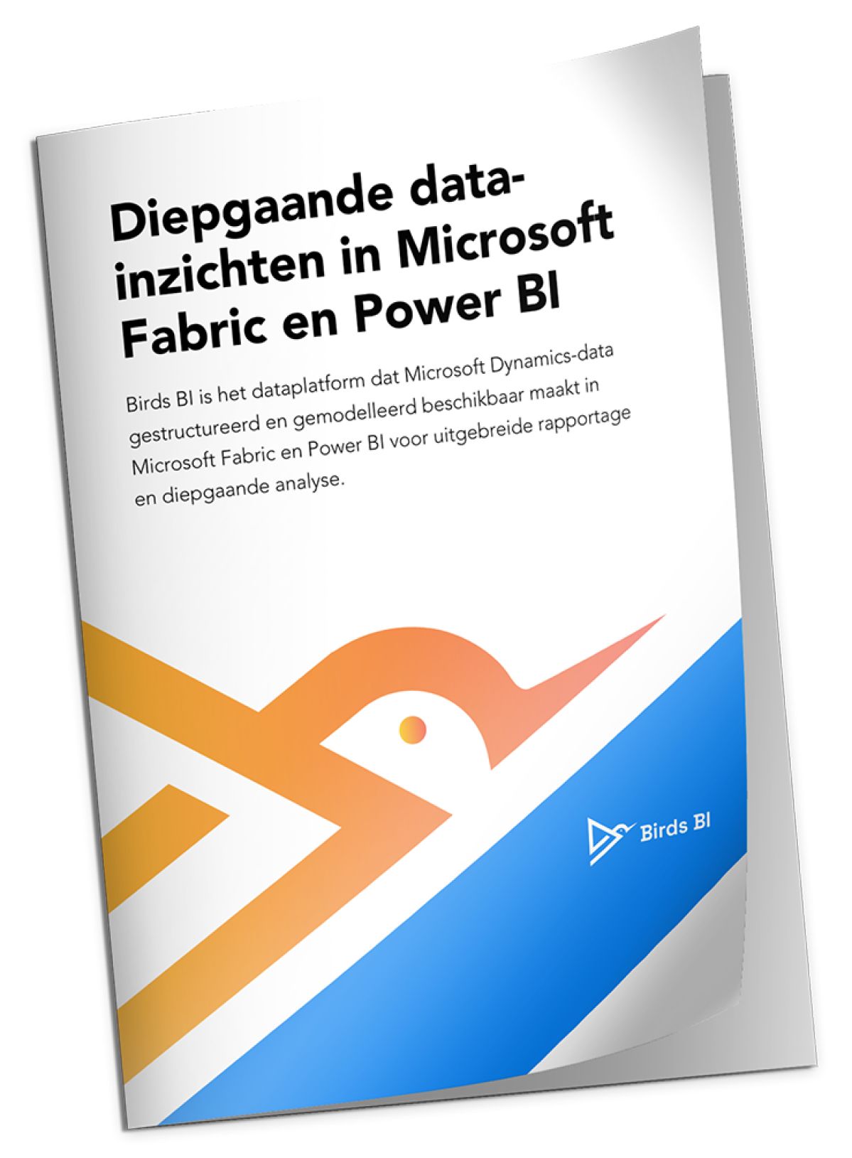 Birds BI product paper Birds BI product paper