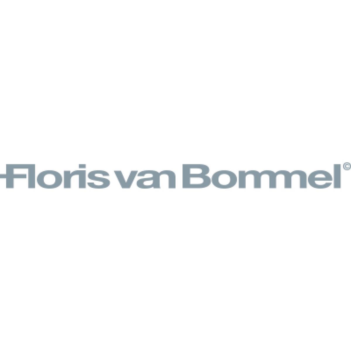 Floris van Bommel