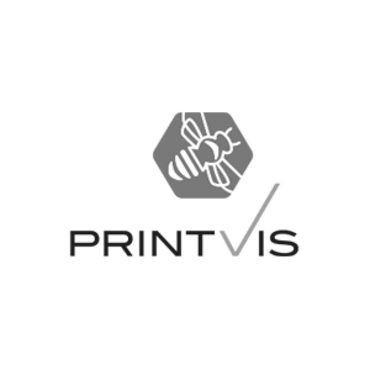 PrintVis