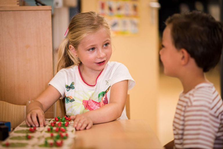 Triangel-groot-077-300x200