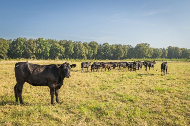 2024050-Studio Sterk Staal-Middendorp Montage003