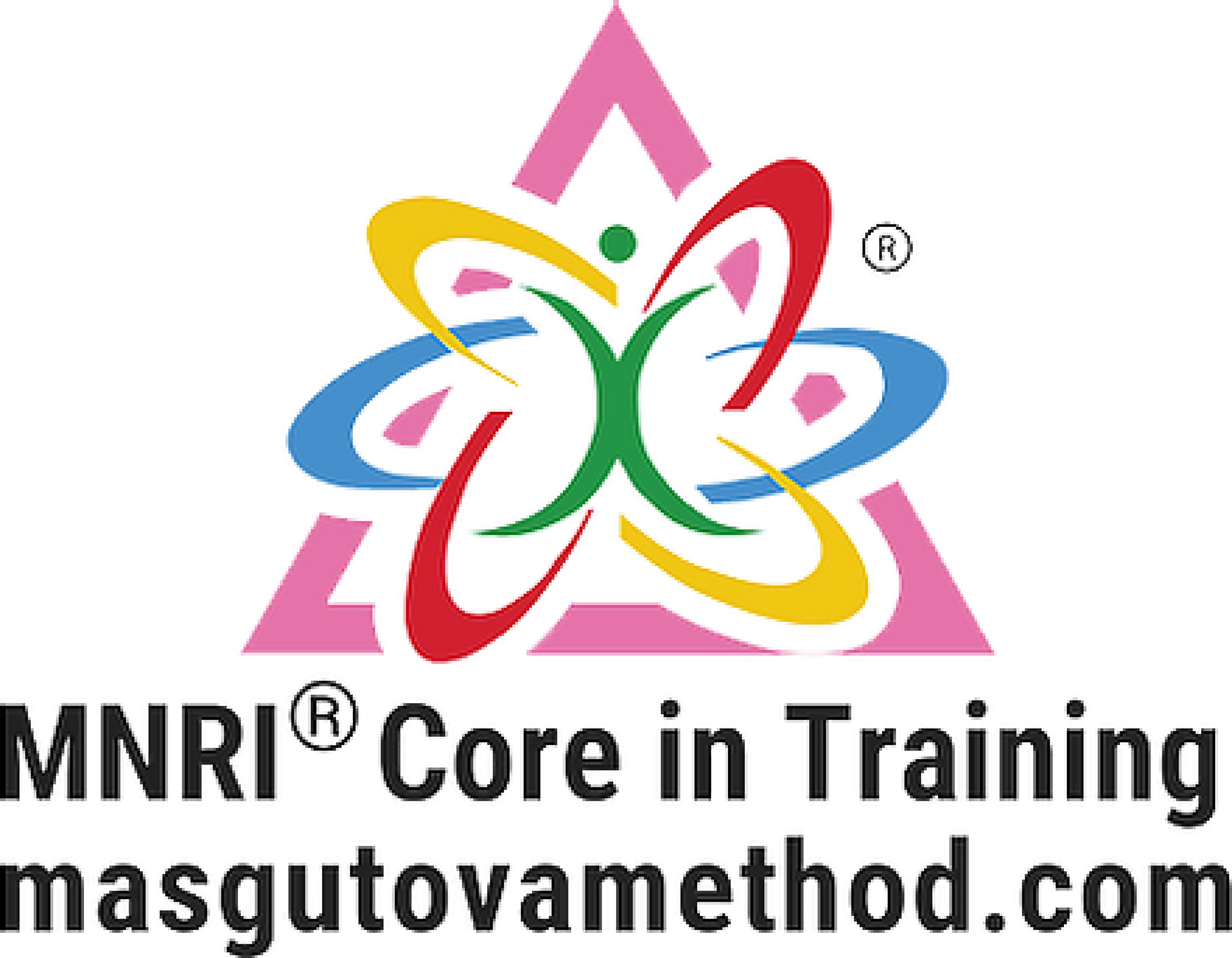 MNRI Logo copy
