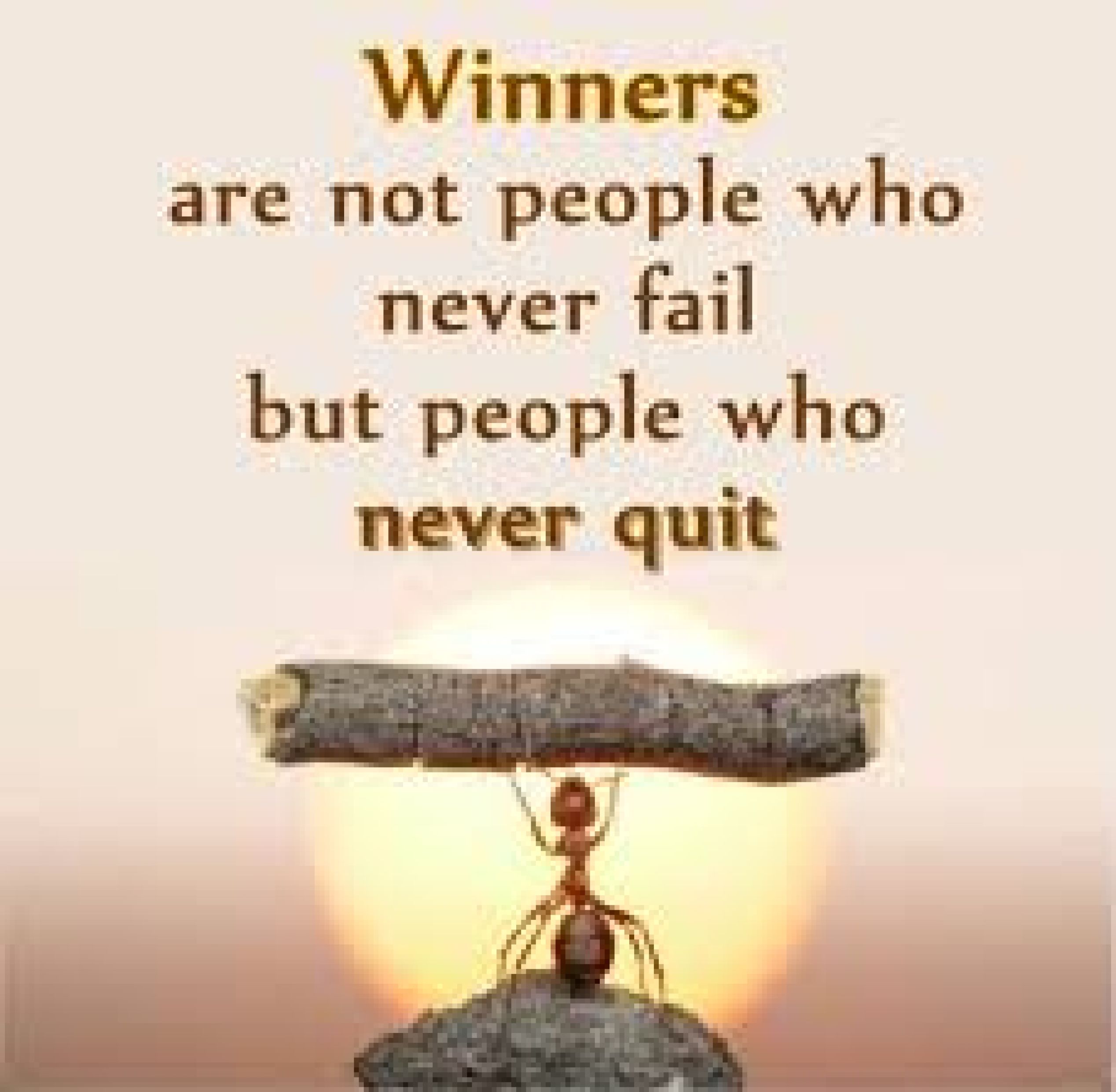 winner never quits