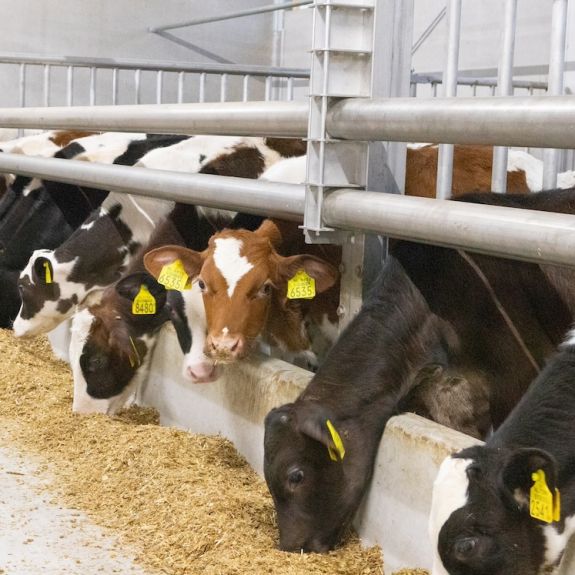 Innovatieve producten en oplossingen