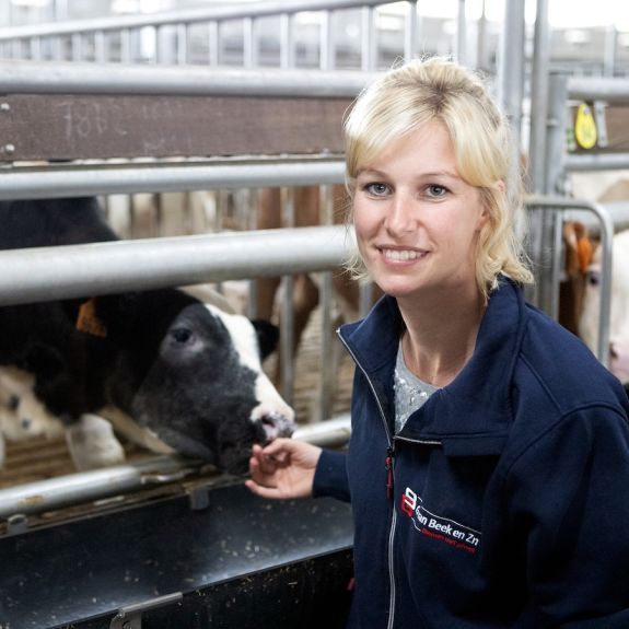Guidance and support for veal farmers