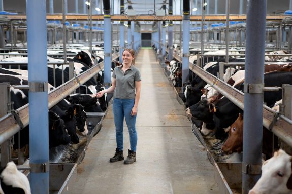 A healthy calf in an animal-friendly barn, surrounded by the care of a passionate veal farmer.