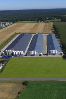 De complete bouw van uw stal