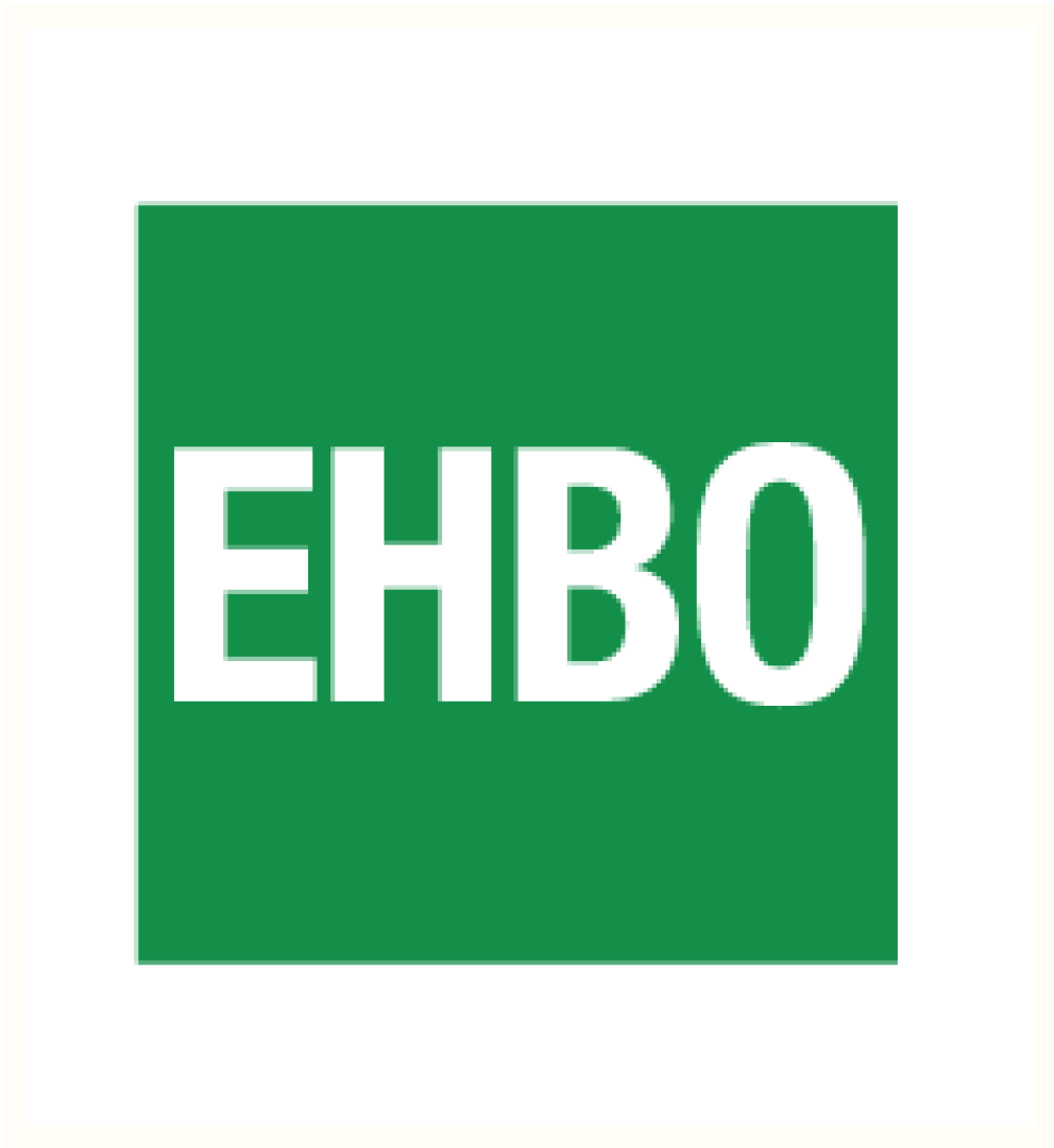 38034 Helmsticker EHBO.png