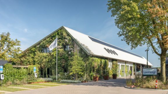 MMK-2T8A9701-HR Groot