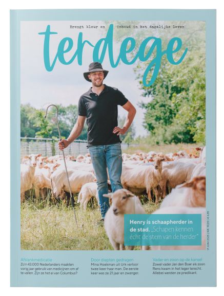 Terdege-portfolio-zomernr-2025