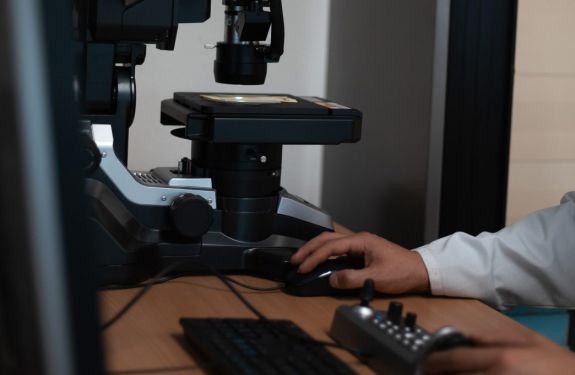 Rectangle-1619 Rectangle-1619