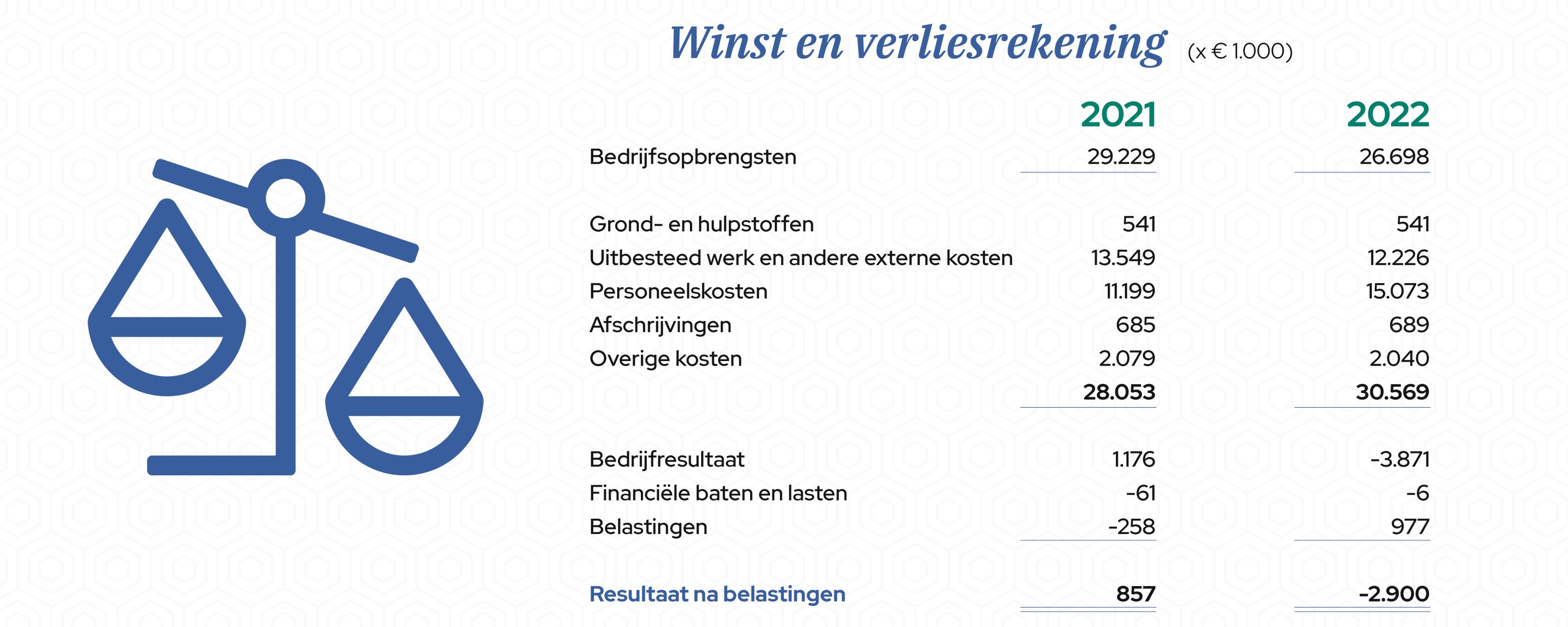 Winst en verliesrekening 2021