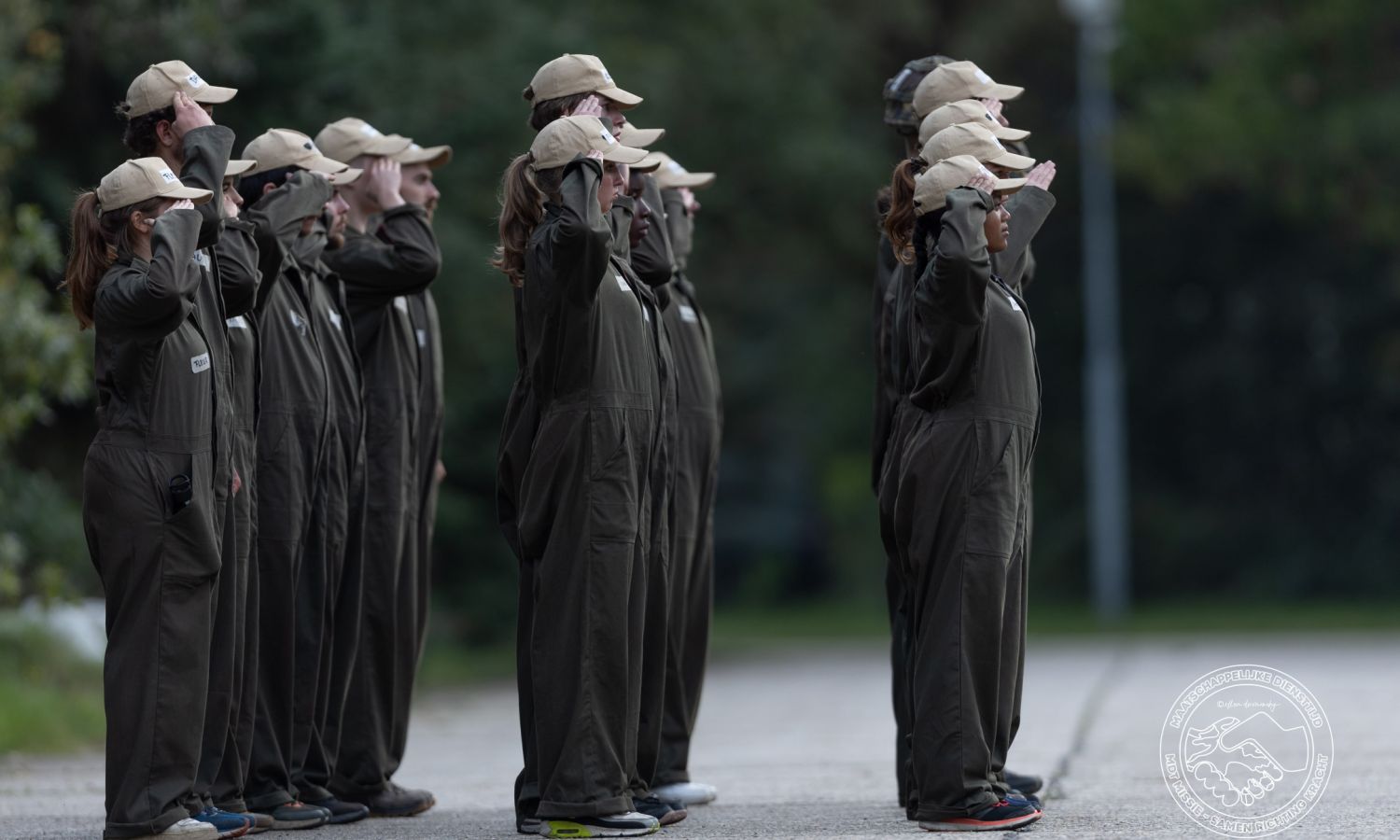 Procesbegeleiding