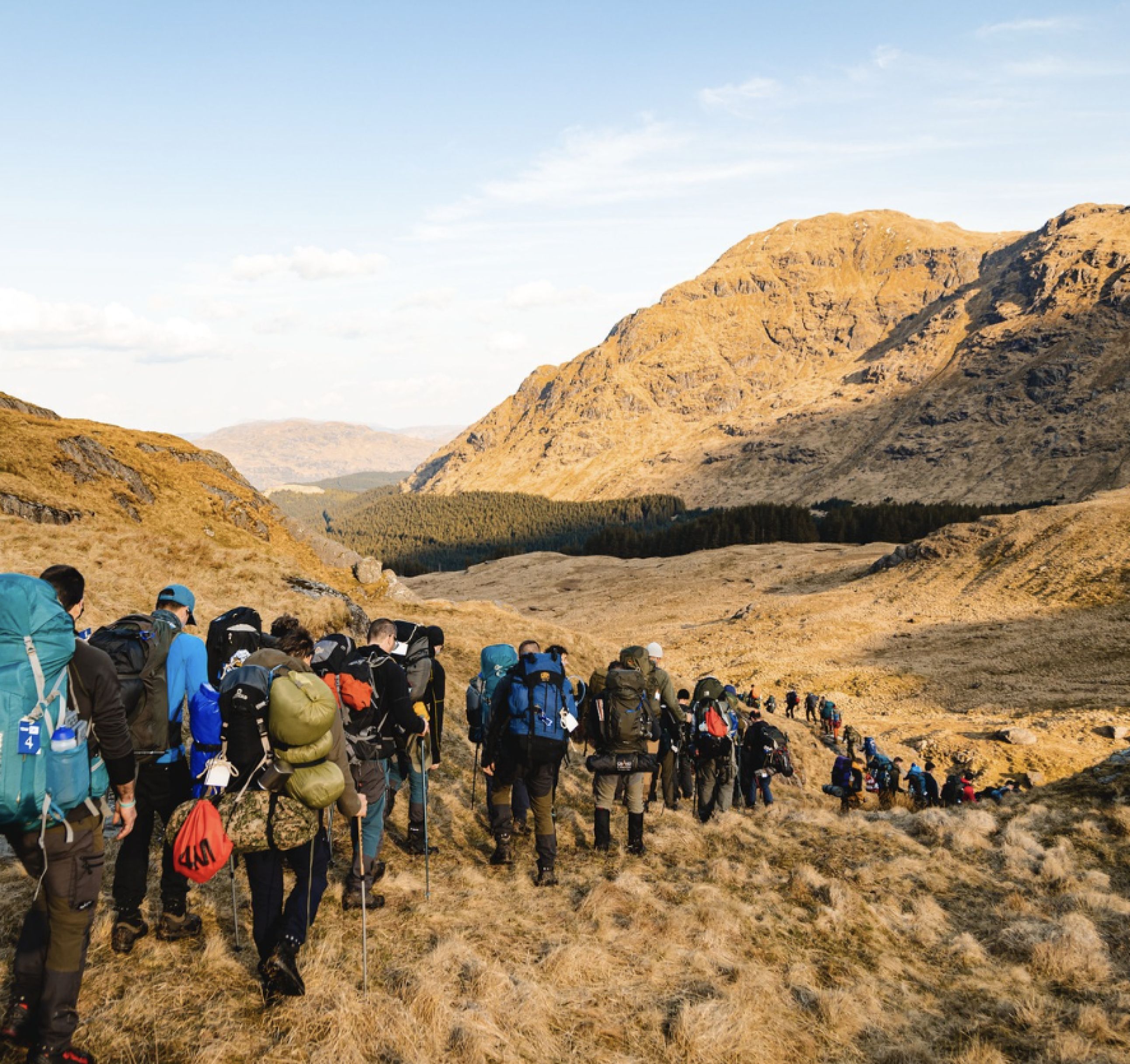 Schermafbeelding 2024-12-10 om 16.15.59.png