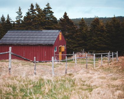 Barn on a field