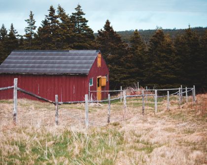 Barn on a field