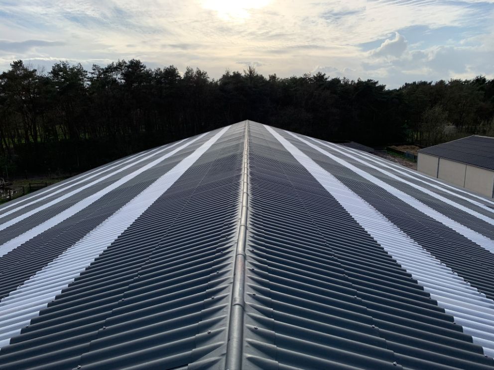 Project-asbestrenovatie-belgie-2