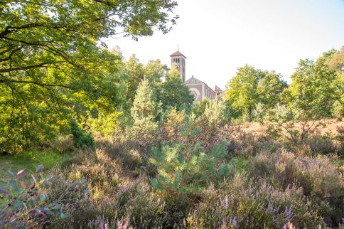 Mookerheide Wandeling