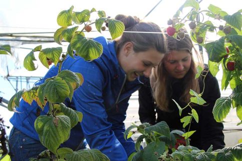 Ooijs Moois pluktuin