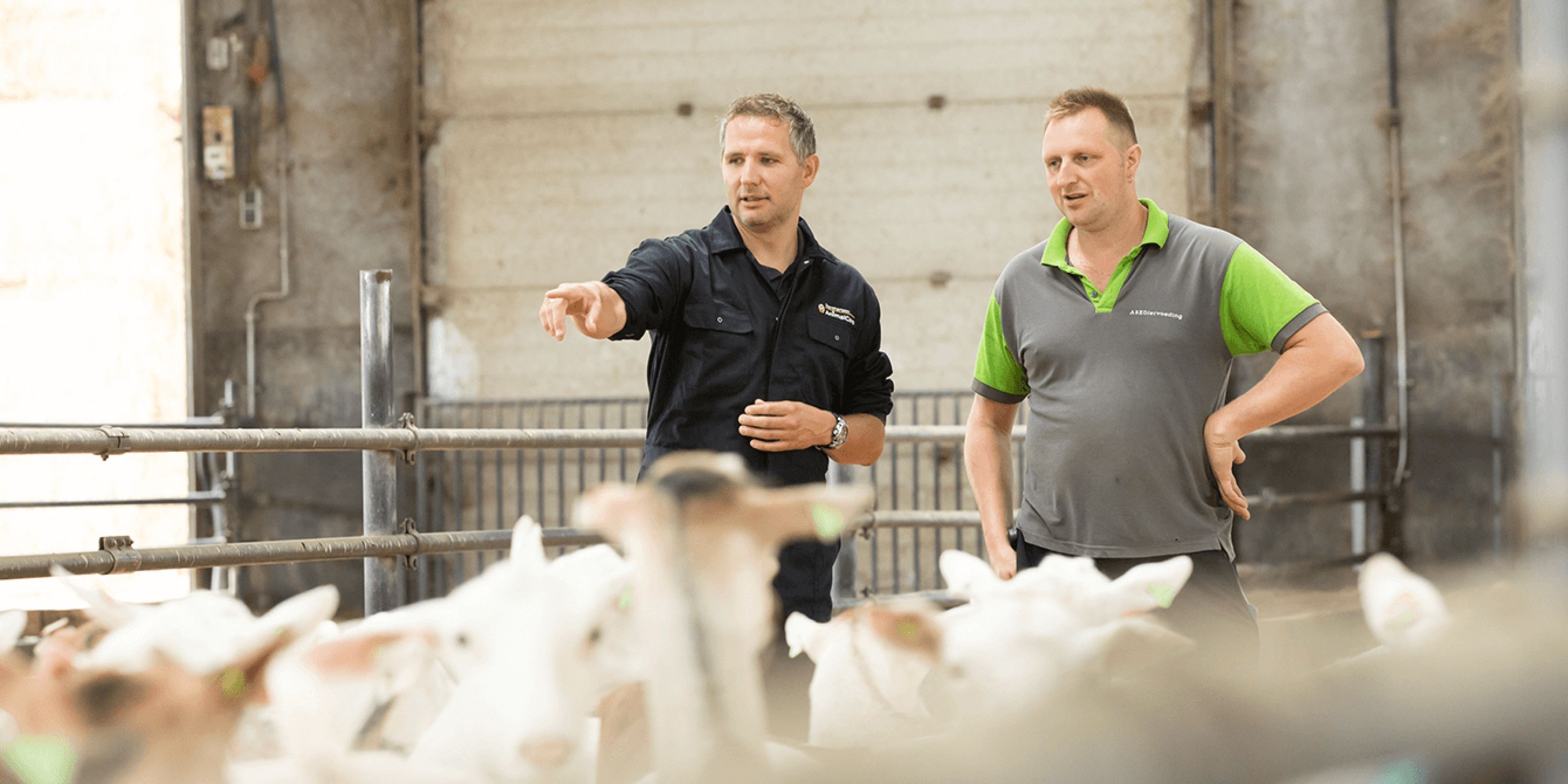 Dierenarts bekijkt met geitenhouder de kudde