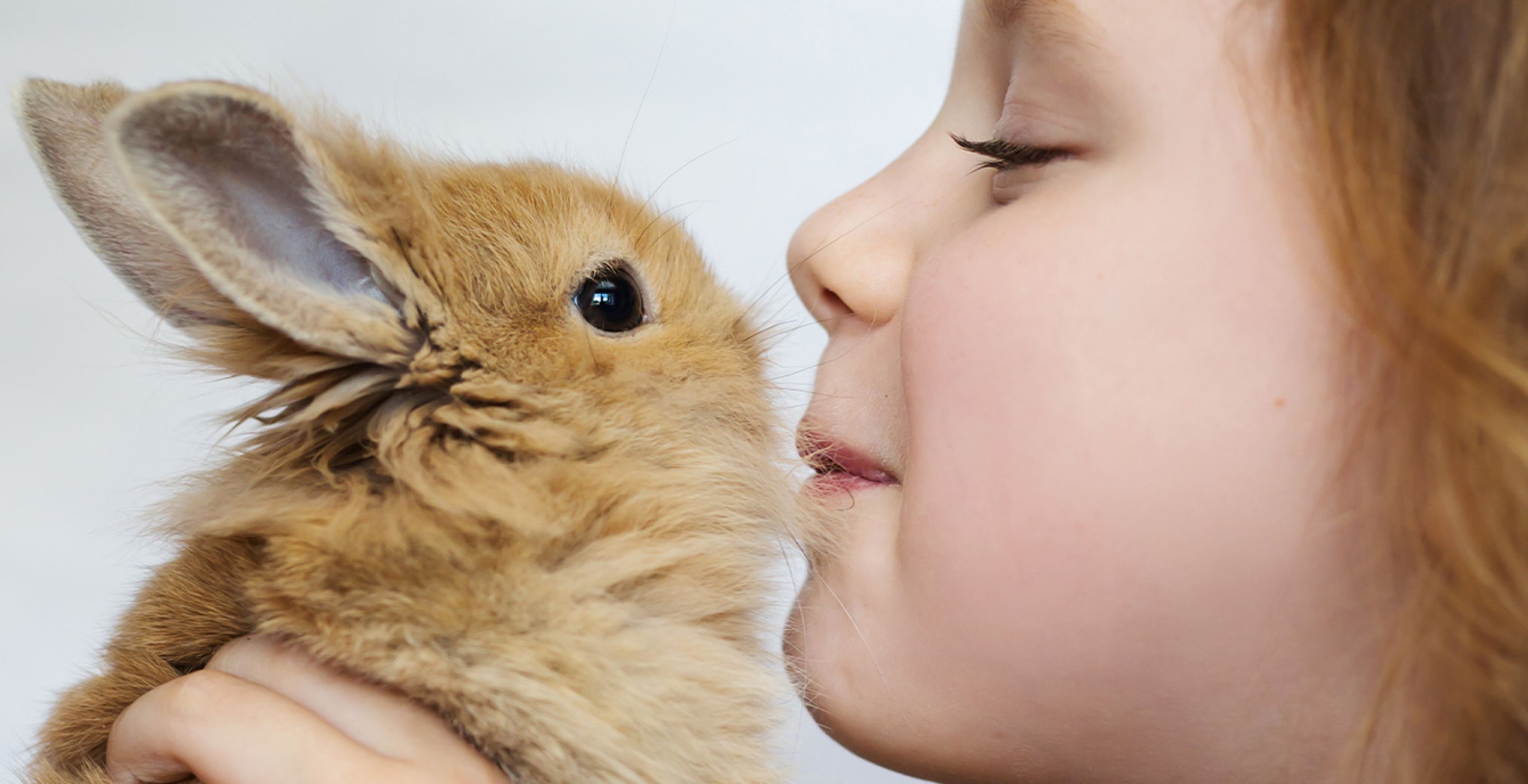 Meisje geeft konijn een kusje