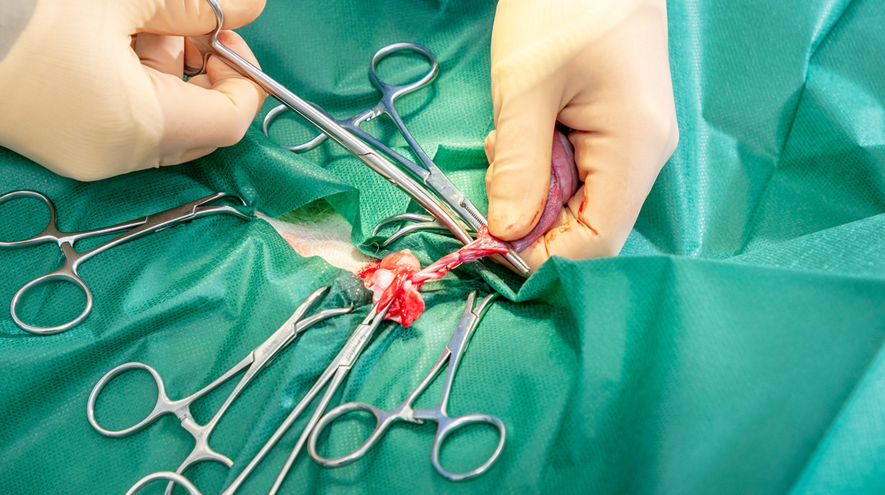 chirurgie #2
