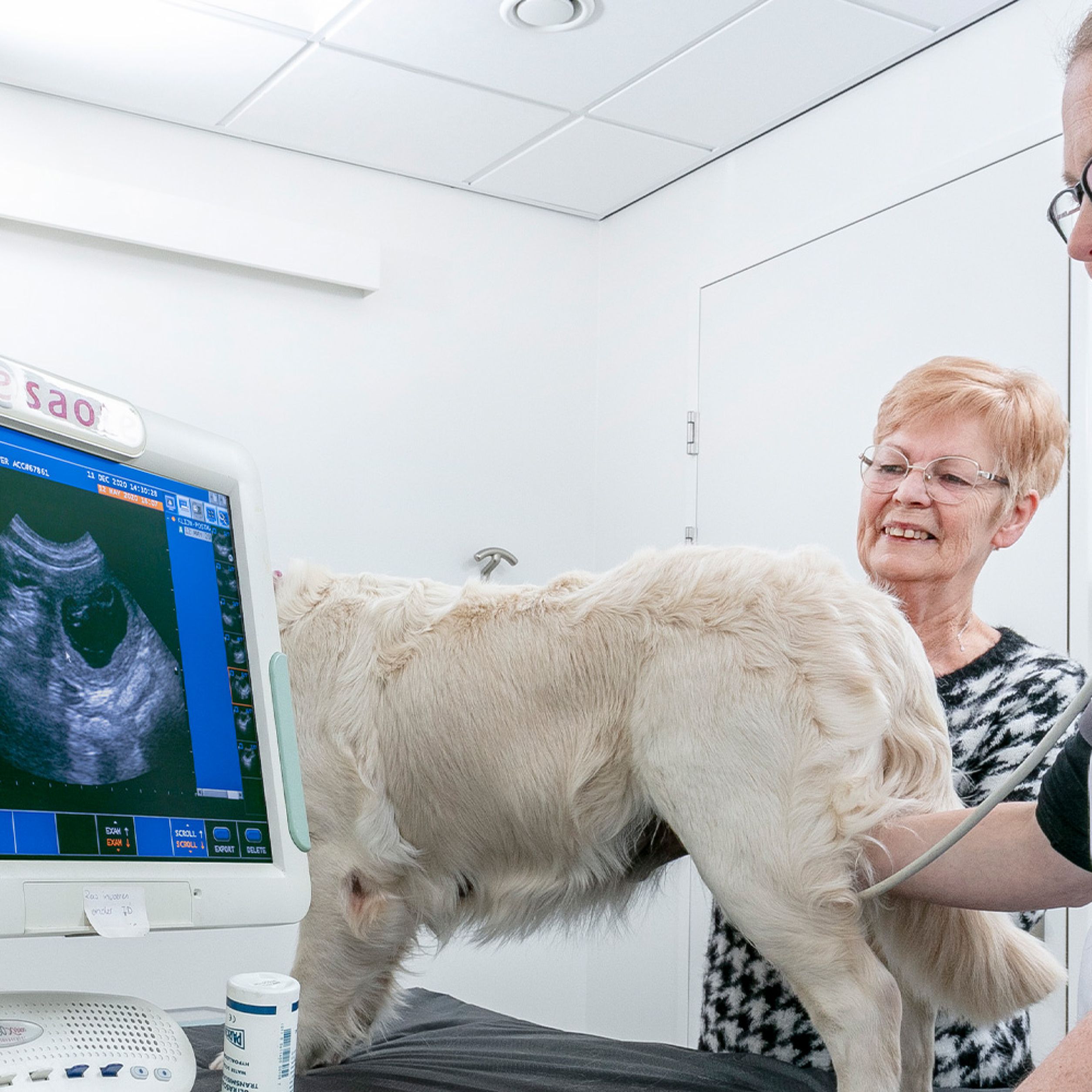 AnimalCare rontgen en echo