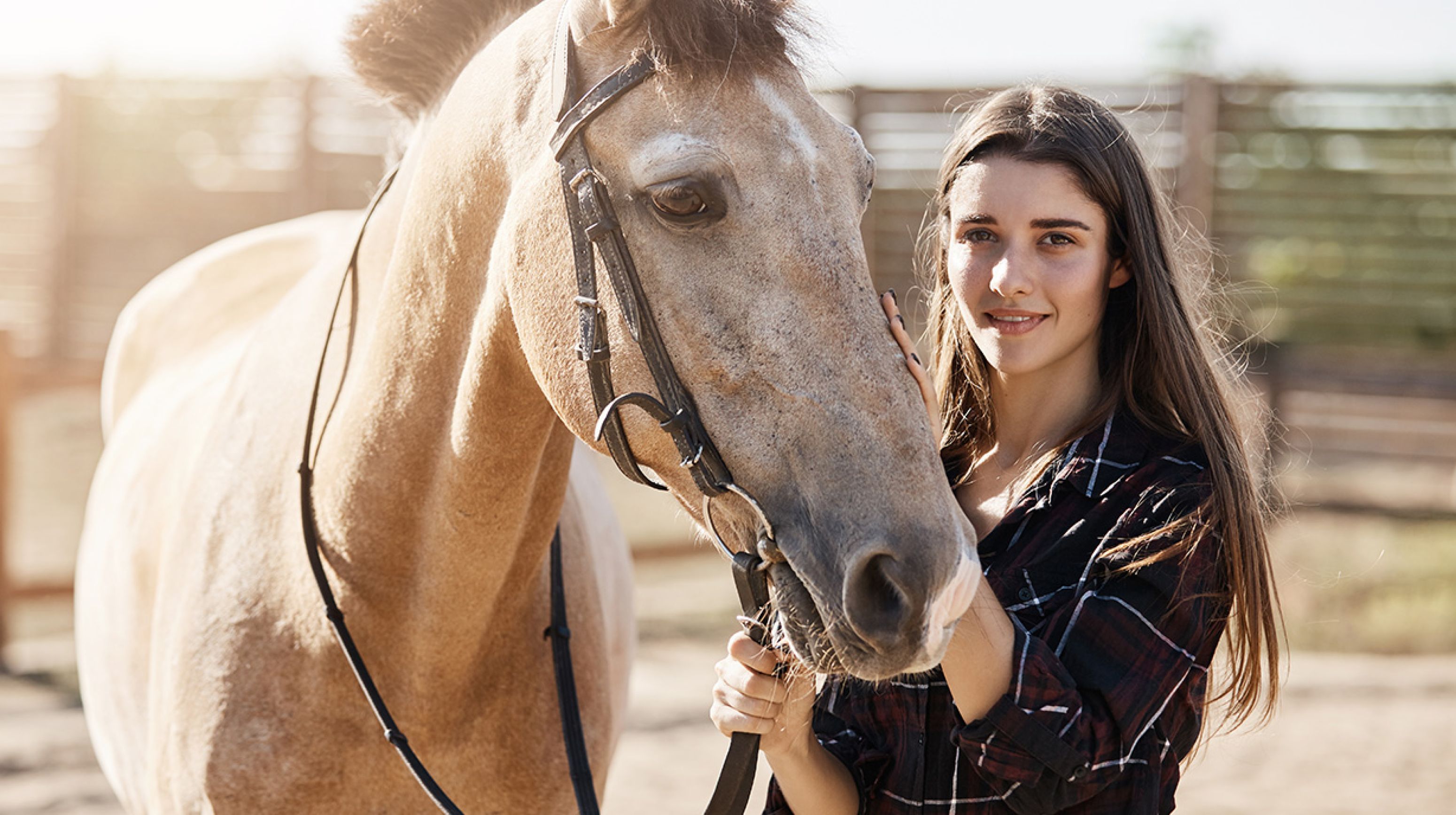Jonge dame kalmeert paard