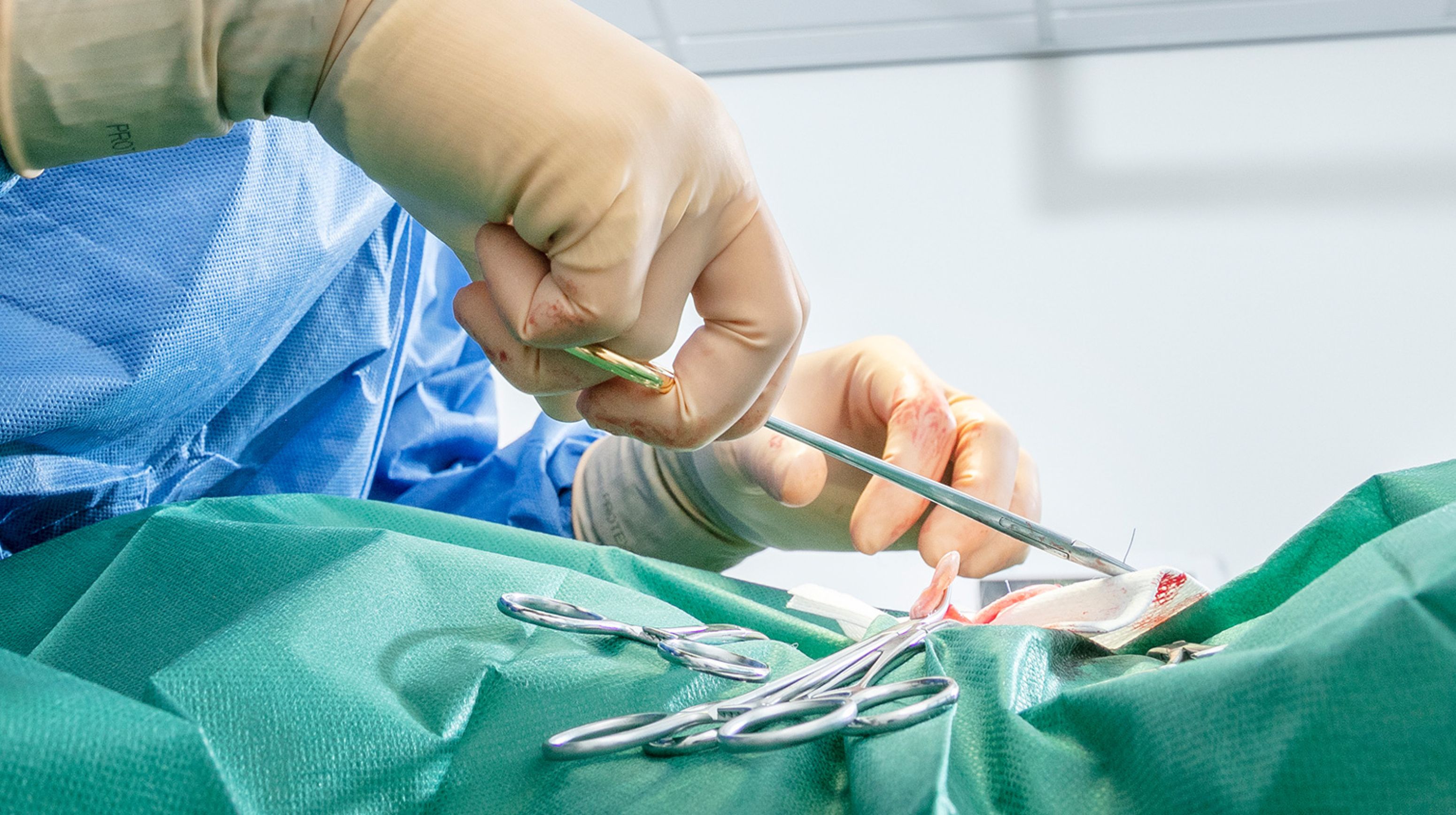Chirurgie #4