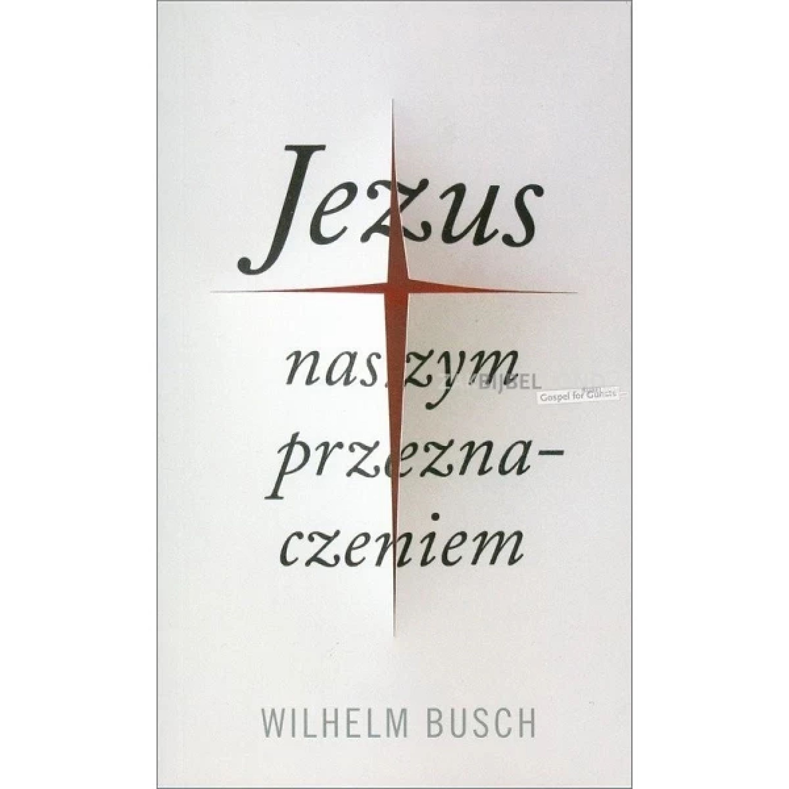 Pools, Jezus, onze bestemming, W. Busch - verkorte uitgave