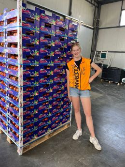 19.Werken bij de Voedselbank