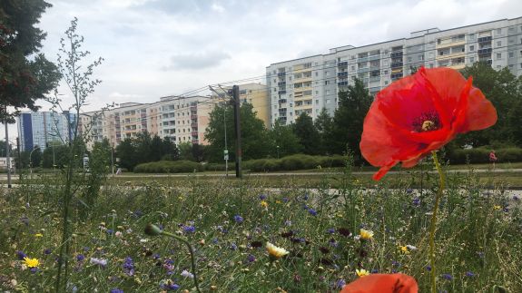 2023_GZB-Experience_Duitsland uitsnede