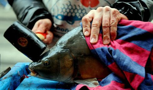 Blog Leendert Wolters - Kerst met Karpie