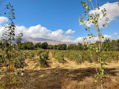 Esther van der Knijff natuur Libanon Esther van der Knijff natuur Libanon