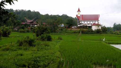 Headerafbeelding Nijldal en Torajaland Egypte