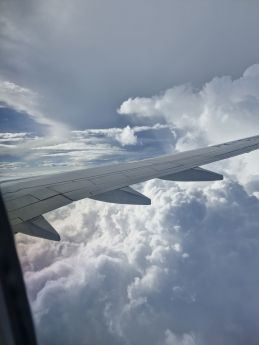 Henriëtte Nieuwenhuis - Bevrijd van afval  Henriëtte Nieuwenhuis - Bevrijd van afval