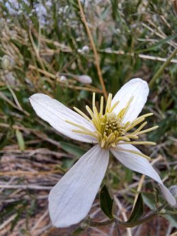 IMG-20230604-WA0004-773x1030