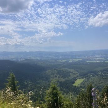 Klimmen