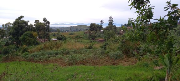 Mark Godeschalk Congo omgeving natuur