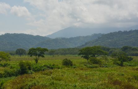 Natuur Costa Rica