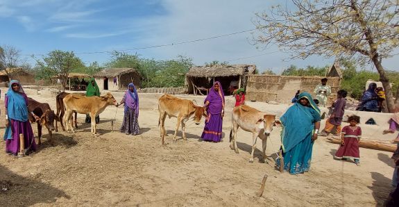 Pakistan Pictures from Canon_20230427_150540
