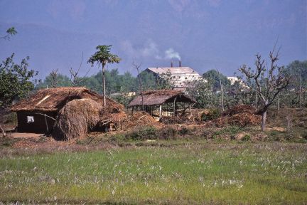 Plains Terai