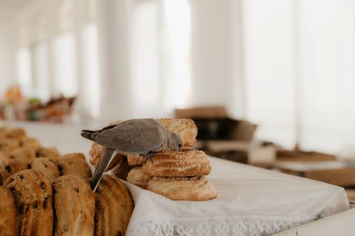 RtB-Fotografie-20250826-6-WEBSITE