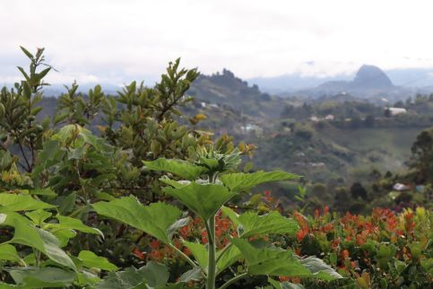 Sfeerbeeld Colombia natuur