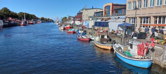 WhatsApp Image 2024-10-05 at 19.04.21