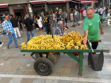 WhatsApp Image 2026-01-20 at 10.54.29