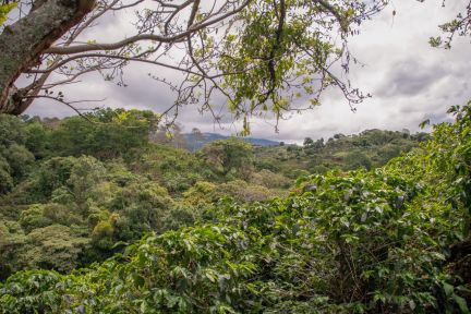 ZIE_7985_edited - landschapsfoto costa rica