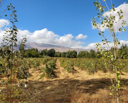 natuur Libanon