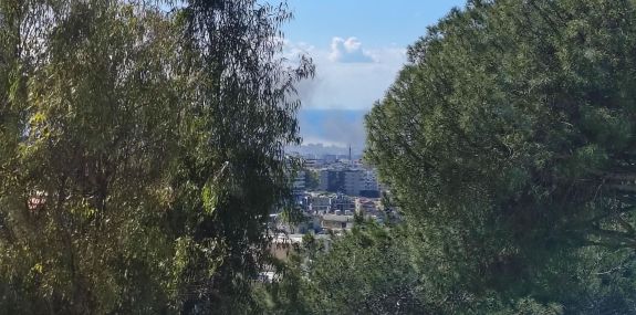 verhaal-knijff verhaal-knijff