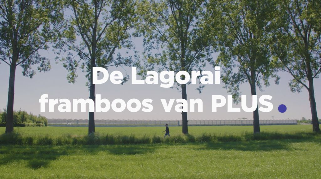 Schermafbeelding 2022-01-31 om 12.37.16